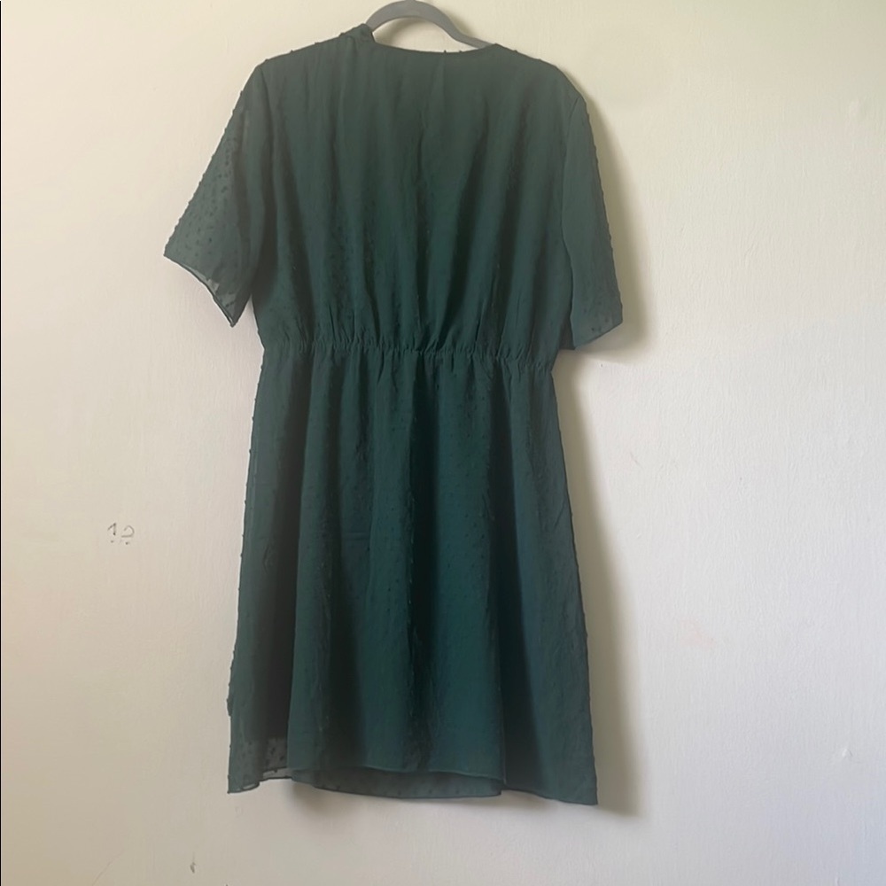 BTFM Dress - Picture 11 of 12
